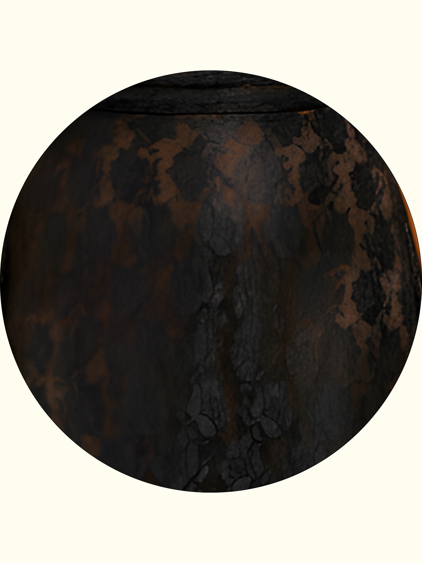 Midnight Black Coral Lace Evening Gown